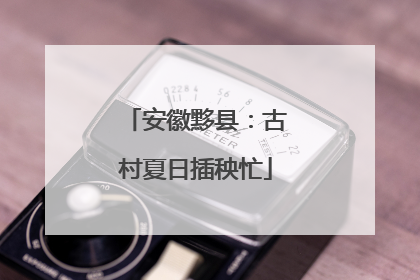 安徽黟县：古村夏日插秧忙