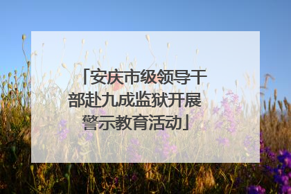 安庆市级领导干部赴九成监狱开展警示教育活动
