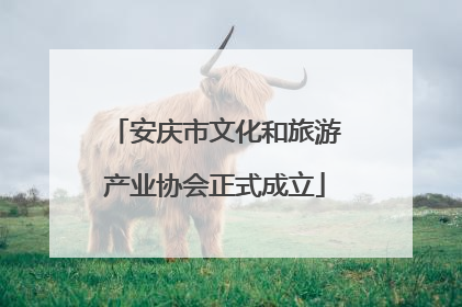 安庆市文化和旅游产业协会正式成立