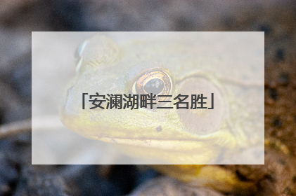 安澜湖畔三名胜