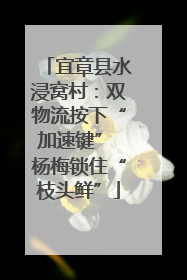宜章县水浸窝村：双物流按下“加速键” 杨梅锁住“枝头鲜”