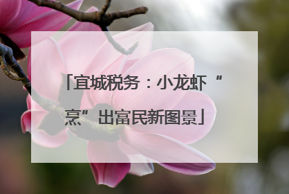 宜城税务：小龙虾“烹”出富民新图景