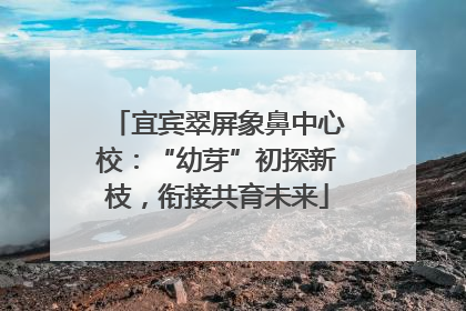宜宾翠屏象鼻中心校：“幼芽”初探新枝，衔接共育未来