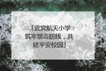宜宾航天小学：筑牢禁毒防线，共建平安校园