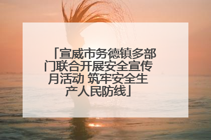 宣威市务德镇多部门联合开展安全宣传月活动 筑牢安全生产人民防线