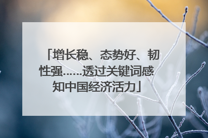 增长稳、态势好、韧性强……透过关键词感知中国经济活力