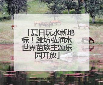 夏日玩水新地标！潍坊弘润水世界苗族主题乐园开放