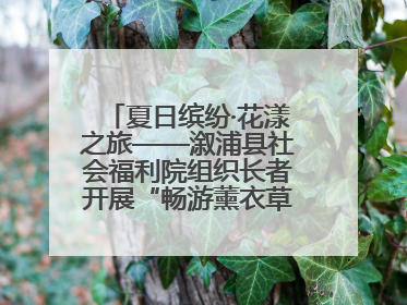 夏日缤纷·花漾之旅——溆浦县社会福利院组织长者开展“畅游薰衣草庄园 共享紫色浪漫”户外活动