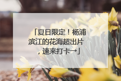 夏日限定！杨浦滨江的花海超出片，速来打卡→