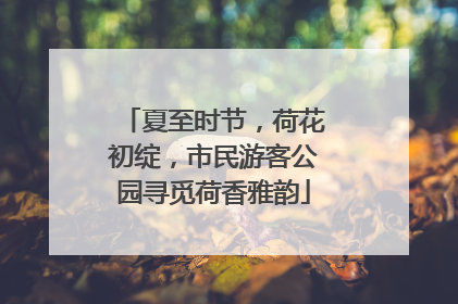 夏至时节，荷花初绽，市民游客公园寻觅荷香雅韵