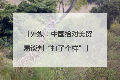 外媒：中国给对美贸易谈判“打了个样”