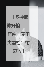 多种粮 种好粮——晋南“麦田夫妻档”忙夏收