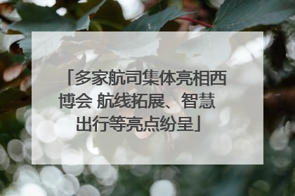 多家航司集体亮相西博会 航线拓展、智慧出行等亮点纷呈