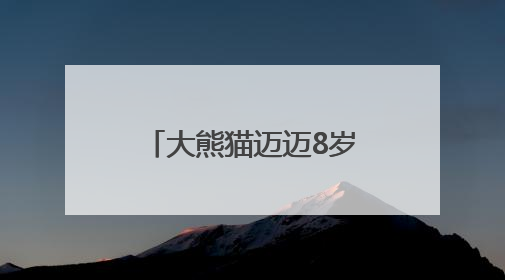 大熊猫迈迈8岁生日会圆满落幕 端午传统与国宝生日完美融合