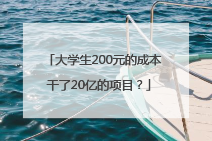 大学生200元的成本干了20亿的项目？
