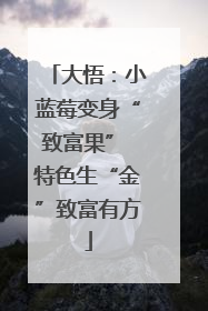 大悟：小蓝莓变身“致富果” 特色生“金”致富有方