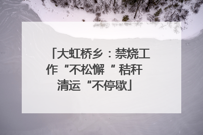 大虹桥乡：禁烧工作“不松懈“ 秸秆清运“不停歇