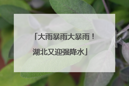大雨暴雨大暴雨！湖北又迎强降水