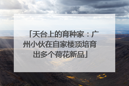 天台上的育种家：广州小伙在自家楼顶培育出多个荷花新品