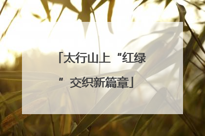 太行山上“红绿”交织新篇章