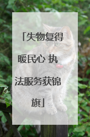 失物复得暖民心 执法服务获锦旗
