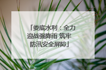 娄底水利：全力迎战强降雨 筑牢防汛安全屏障