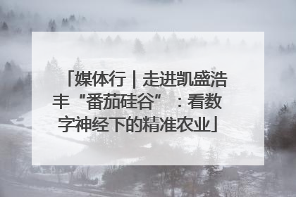 媒体行｜走进凯盛浩丰“番茄硅谷”：看数字神经下的精准农业