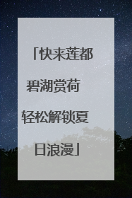 快来莲都碧湖赏荷 轻松解锁夏日浪漫