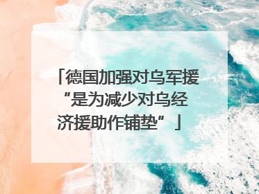德国加强对乌军援 “是为减少对乌经济援助作铺垫”