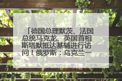 德国总理默茨、法国总统马克龙、英国首相斯塔默抵达基辅进行访问！俄罗斯：乌克兰一直在回避谈判