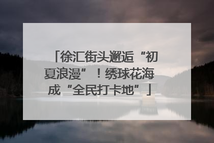 徐汇街头邂逅“初夏浪漫”！绣球花海成“全民打卡地”