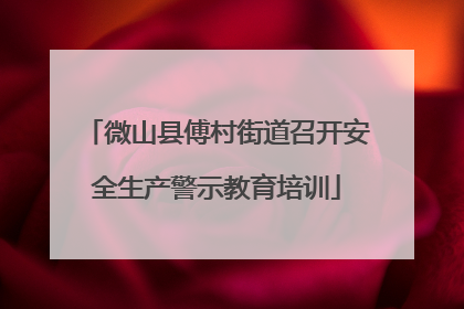 微山县傅村街道召开安全生产警示教育培训