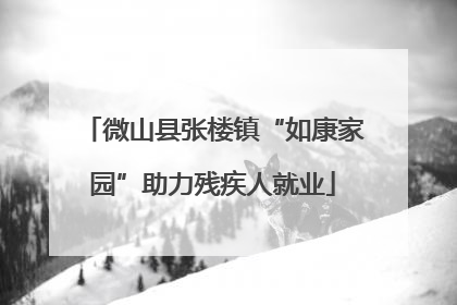 微山县张楼镇“如康家园”助力残疾人就业