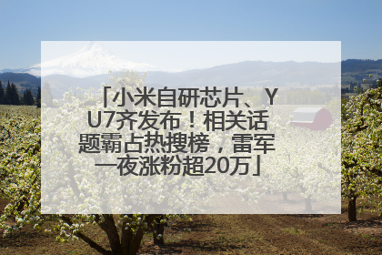 小米自研芯片、YU7齐发布！相关话题霸占热搜榜，雷军一夜涨粉超20万