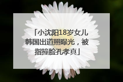 小沈阳18岁女儿韩国出道照曝光，被指撞脸孔孝真