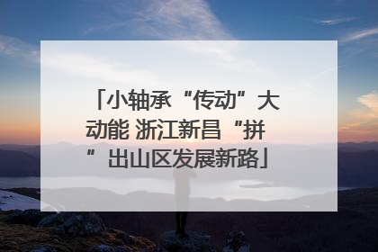 小轴承“传动”大动能 浙江新昌“拼”出山区发展新路