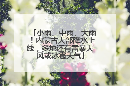 小雨、中雨、大雨！内蒙古大部降水上线，多地还有雷暴大风或冰雹天气