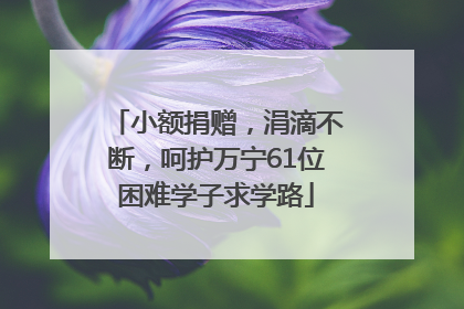 小额捐赠，涓滴不断，呵护万宁61位困难学子求学路