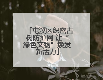 屯溪区织密古树防护网 让“绿色文物”焕发新活力