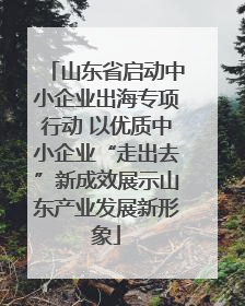 山东省启动中小企业出海专项行动 以优质中小企业“走出去”新成效展示山东产业发展新形象