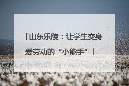 山东乐陵：让学生变身爱劳动的“小能手”