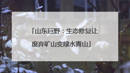 山东巨野：生态修复让废弃矿山变绿水青山