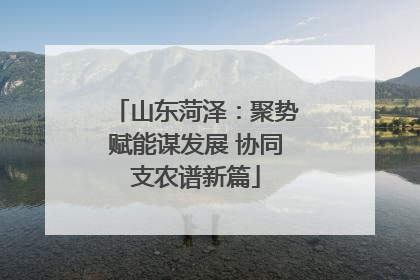 山东菏泽：聚势赋能谋发展 协同支农谱新篇