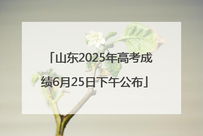 山东2025年高考成绩6月25日下午公布