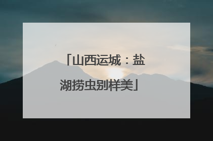 山西运城：盐湖捞虫别样美