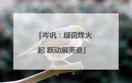 岑巩：绿茵烽火起 跃动展英姿