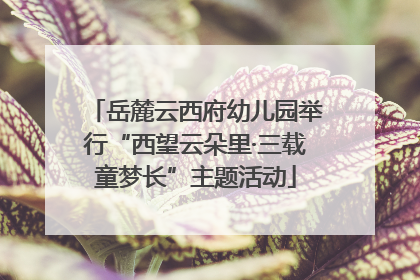 岳麓云西府幼儿园举行“西望云朵里·三载童梦长”主题活动