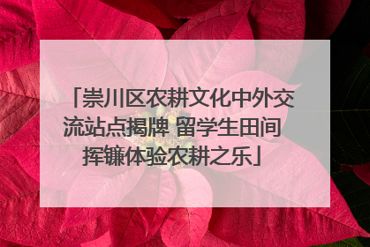 崇川区农耕文化中外交流站点揭牌 留学生田间挥镰体验农耕之乐