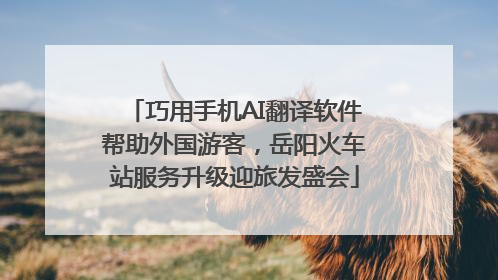 巧用手机AI翻译软件帮助外国游客，岳阳火车站服务升级迎旅发盛会
