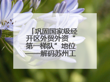 巩固国家级经开区外贸外资“第一梯队”地位——解码苏州工业园区样本